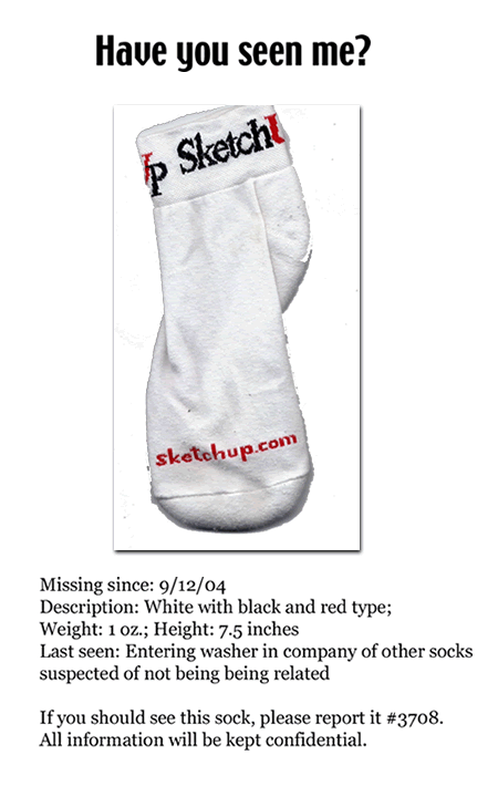 Missing Sock Poster